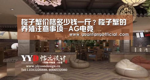 AG直达