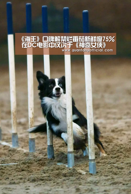 《海王》口碑解禁烂番茄新鲜度75% 在DC电影中仅次于《神奇女侠》‘AG电竞’(图4) AG真人
