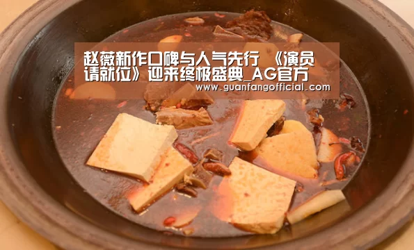 赵薇新作口碑与人气先行 《演员请就位》迎来终极盛典_AG官方(图4) AG电竞